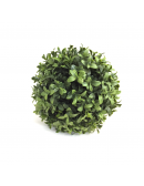 (R$3,00) Buchinho Verde PP (D11cm)