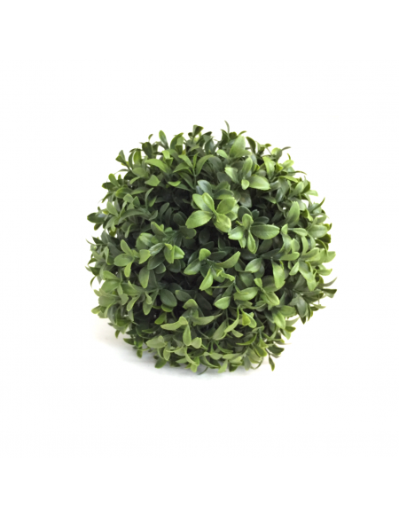 (R$3,00) Buchinho Verde PP (D11cm)
