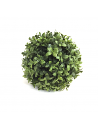 (R$4,00) Buchinho Verde PP (D11cm)