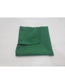 (R$1,50) Guardanapo Verde