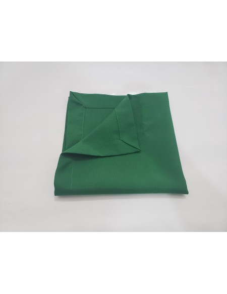 (R$1,50) Guardanapo Verde