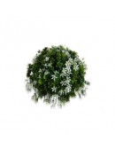 (R$16,00) Buque Permanente Florzinha Branca e Folhagem PP