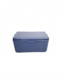 (R$42,00) Caixa Térmica (47L)