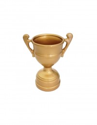 (R$14,00) Troféu Cerâmica Dourado (A20/D10cm)