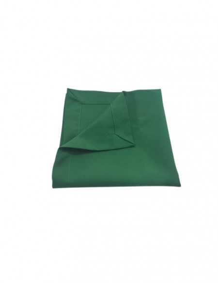 (R$1,50) Guardanapo Verde